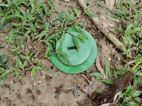Close-up of a green utility access cap or pest control station Stock Photos