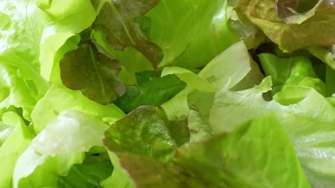 Close-up of a green vegetable salad. Stock Footage 276690401