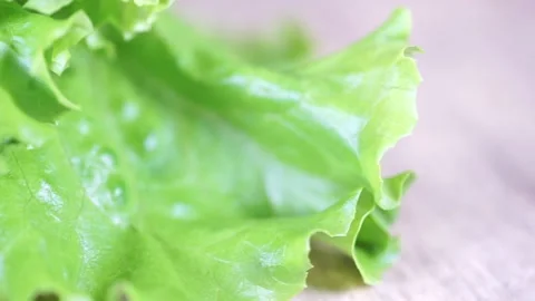 A close up of a greens and broccoli Video stock 130321918