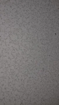 Close-up of grey granular texture with fine cracked patterns and speckled det Stock Photos