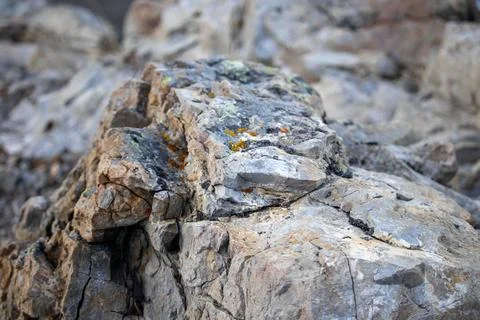 Close-Up Of Grey Rock With Cracks Stock Photos