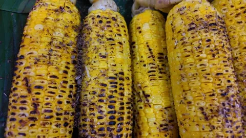 Close-Up of Grilled Corn Cobs with Char Marks at Thai Night Market Stock Footage 335998819