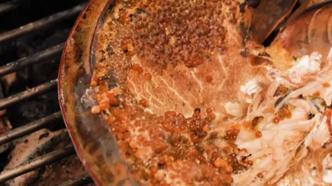 Close up of Grilled Horseshoe Crab Eggs and Roe Inside the Carapace Shell Stock Footage 344221434