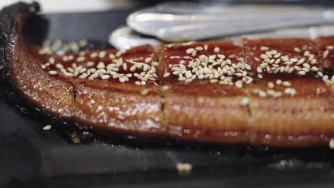 Close-up of grilled Japanese unagi eel topped with toasted white sesame see.. 動画素材 341324470