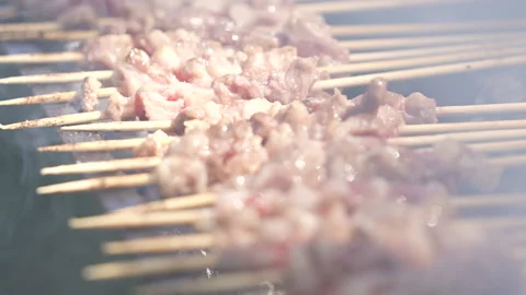 Close-up of grilled lamb kebab Stock Footage 233324465