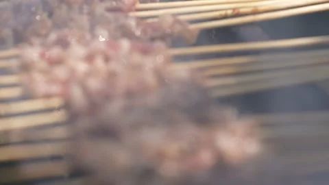 Close-up of grilled lamb kebab Stock Footage 233324557