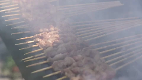 Close-up of grilled lamb kebab Stock Footage 233324892