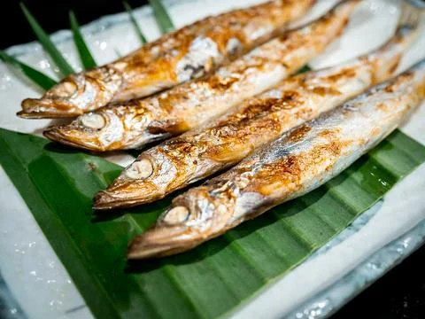 Close-up grilled shishamo fish on banana leaf on white rectangle plate on dar Stock Photos