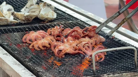 Close Up Grilled Squid and Oysters on Charcoal Grill Street Food Cooking Stock Footage 342699391
