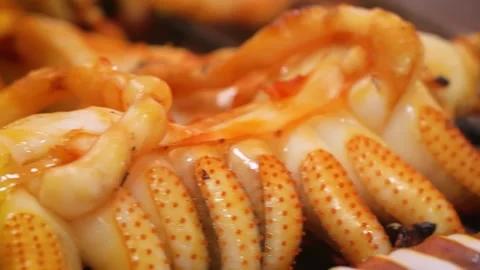 Close-up of Grilled Squid Tentacles with Spicy Glaze on a BBQ Grill Stock Footage 344218050