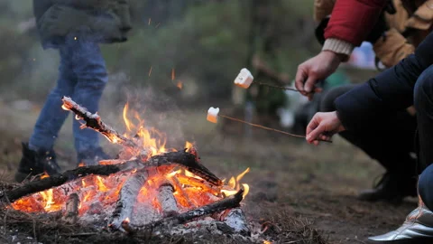 Close-up of grilling marshmallows on a stick over a campfire in the woods at a Stock Footage 146515989