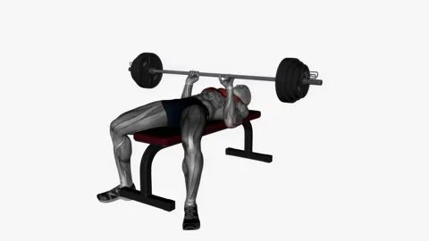 Close grip barbell bench press exercise fitness workout animation male muscle Stockbeeldmateriaal 227560363