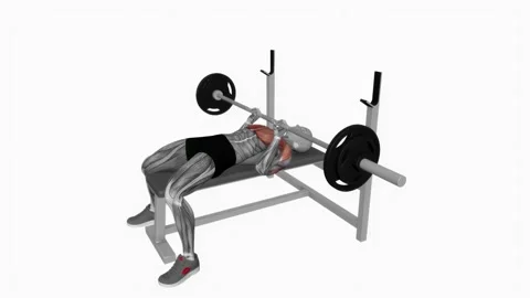 Close grip barbell bench press exercise fitness workout animation male muscle Vídeos de archivo 227560402