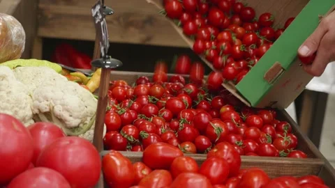 Close-up of grocery worker is pours cherry tomatoes from box on store shelves. Stock Footage 141419795