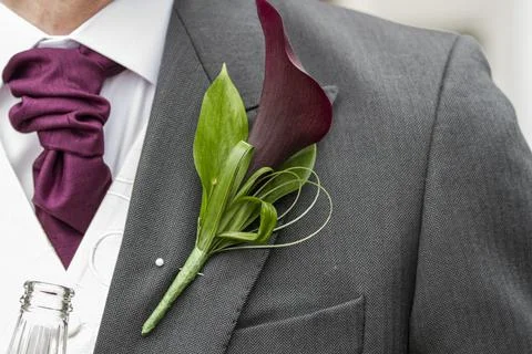 Close up of groom Foto stock