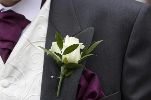 Close up of groom Stock Photos