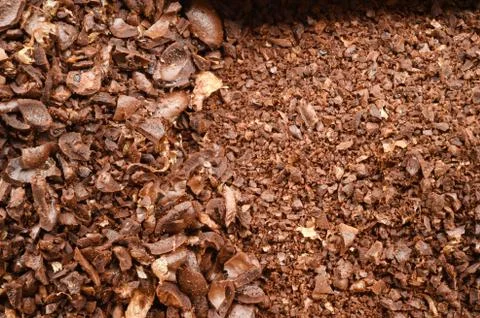 Close up of ground coffee Foto stock