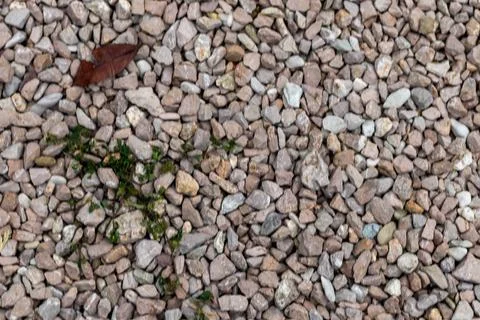 Close-up of ground cover composed of cobble stones Foto stock