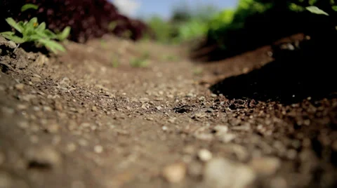 Close to the Ground Video stock 36052263