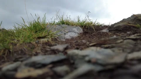 Close-up from the ground of a hiking trail with rocks and grass moving in t.. Stock Footage 338387955