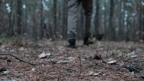 Close-up ground-level shot of a hikers boots stepping through a forest path Stock Footage 301239304