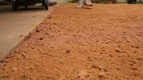 Close up at ground level of sod being put in place and rolled out. Video stock 64539018