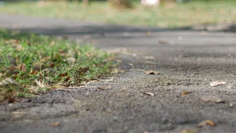 Close up ground view of asphalt walkway with scattered dry leaves Stock Footage 325478952