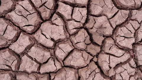 Close-up on the ground was dry from lack of moisture from the water Stock-Footage 113208206