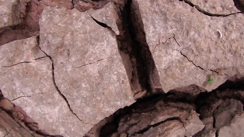 Close-up on the ground was dry from lack of moisture from the water Stock Footage 113208449