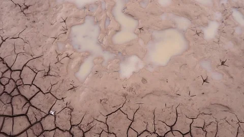 Close-up on the ground was dry from lack of moisture from the water Stock Footage 113208666
