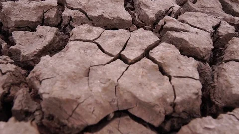 Close-up on the ground was dry from lack of moisture from the water Video stock 113208674