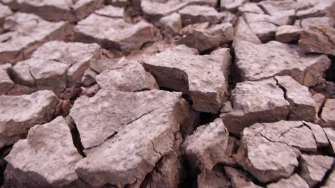 Close-up on the ground was dry from lack of moisture from the water Stock Footage 113208929