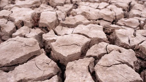 Close-up on the ground was dry from lack of moisture from the water  Stock Footage 124248560