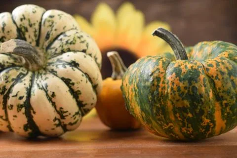 Close up on a group of decorative pumpkins. Stock Photos