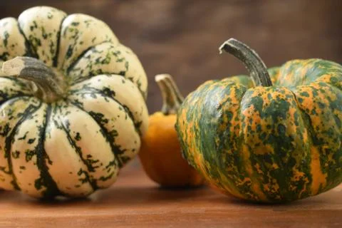 Close up on a group of decorative pumpkins. Stock Photos