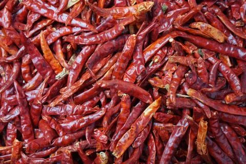 Close up group of dried red chilli Stock Photos