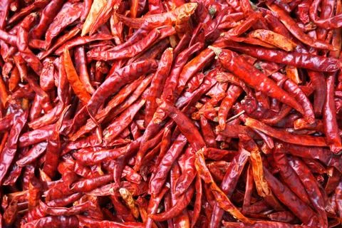 Close up group of dried red chilli Stock Photos
