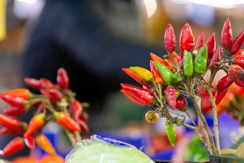 Close Up of a Group of Fresh Red Hot Chili Peppers at the Italian Market Stock Photos
