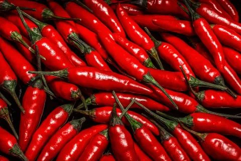 Close up group of fresh red organic hot chilli pepper.Vegetables in the tray  Stock Photos