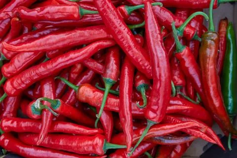 Close up group of red hot chilli peppers Stock Photos