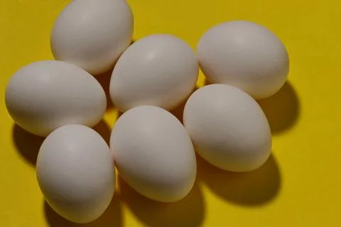 Close-up of a group of white chicken eggs on a yellow background. Stock Photos