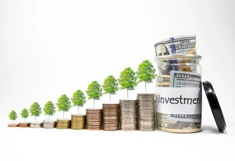 Close up growing of coins stacking and trees with dollar banknote in pot Stock Photos