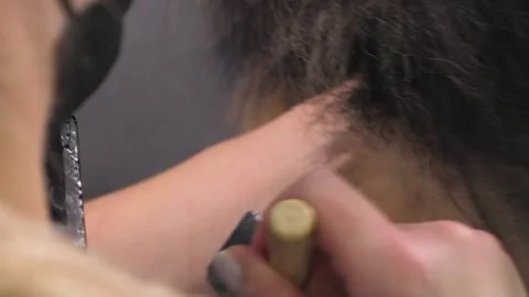 Close-up of a grummer shearing a Pomeranian dog with a pair of clippers. Stock Footage 334941845