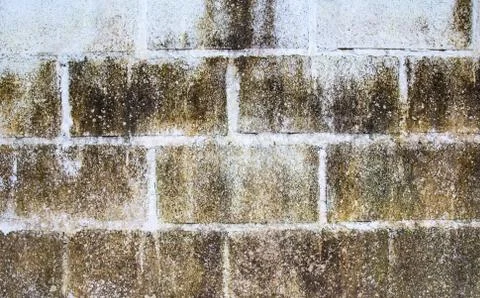 Close up grunge background and texture Stock Photos