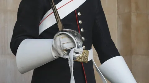 Close-up of a guard's gloved hand holding a ceremonial sword.  Vídeo Stock 345266397