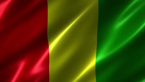 Close up of the Guinea flag blowing in the wind Stock Footage 348688563