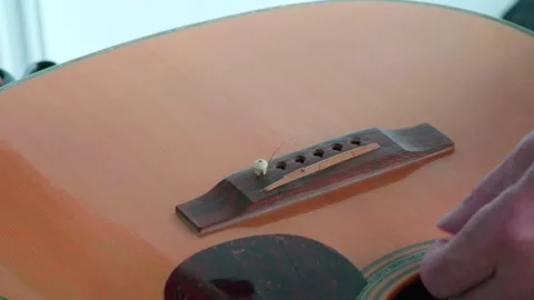 Close-up of guitar bridge treble strings and pins on bridge being fitted. Stock Footage 344743494