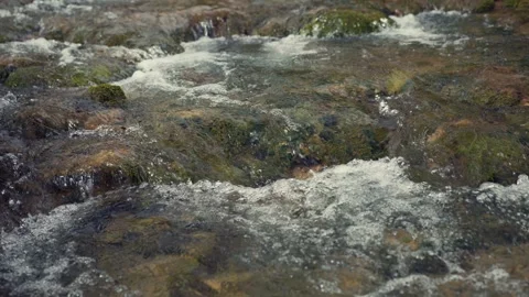 Close-up of a gurgling stream with rapids and mossy rocks Stock Footage 341833790