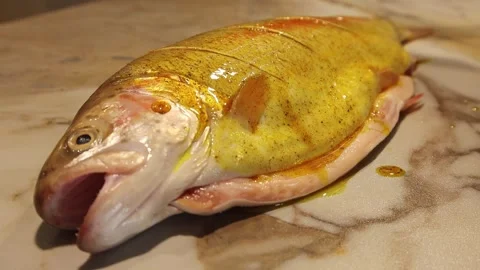 Close-up of a gutted rainbow trout carcass. Stock Footage 242390754