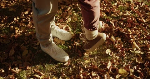Close-up of a guy and a girl standing on the grass and autumn leaves during Stock Footage 299924665